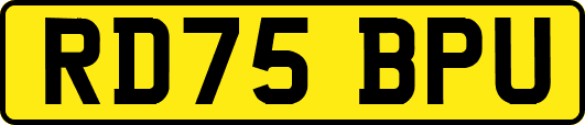 RD75BPU
