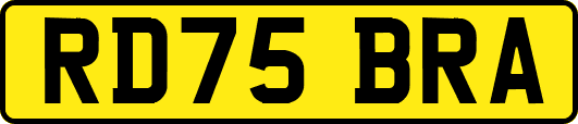 RD75BRA