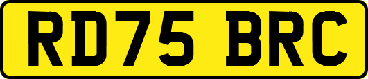 RD75BRC