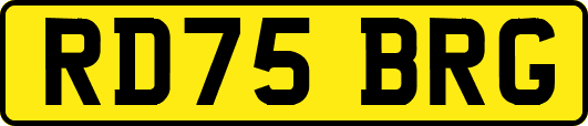 RD75BRG