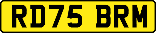 RD75BRM