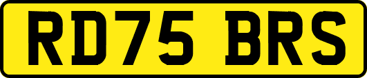 RD75BRS