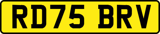 RD75BRV