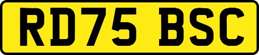 RD75BSC