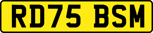 RD75BSM