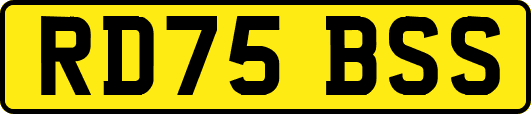 RD75BSS
