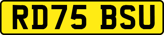 RD75BSU