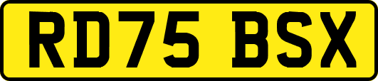 RD75BSX