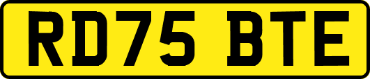 RD75BTE