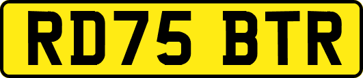 RD75BTR