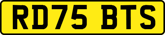 RD75BTS