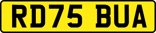 RD75BUA