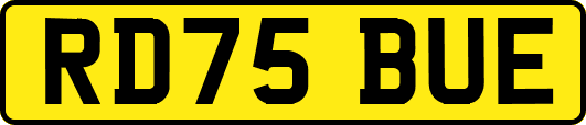 RD75BUE