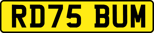 RD75BUM