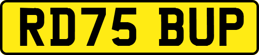 RD75BUP