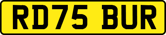 RD75BUR
