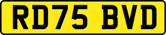 RD75BVD