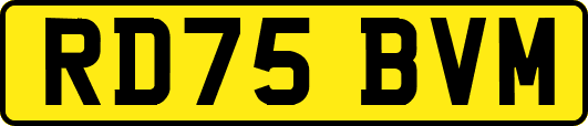 RD75BVM