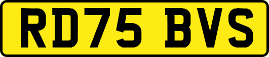 RD75BVS