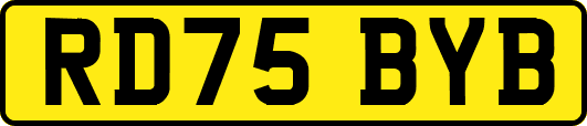RD75BYB