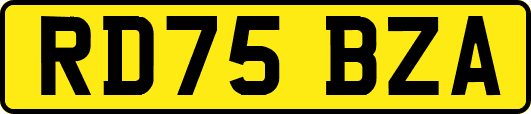 RD75BZA