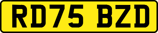 RD75BZD