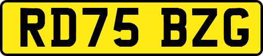 RD75BZG