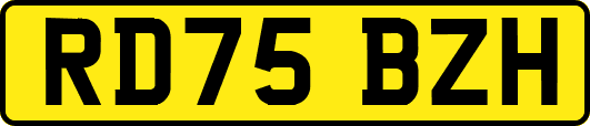 RD75BZH
