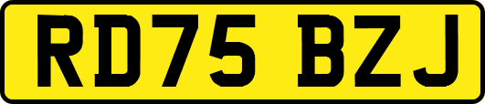 RD75BZJ