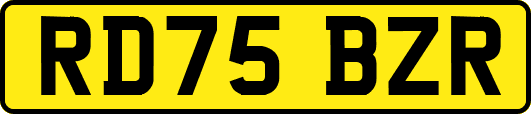 RD75BZR