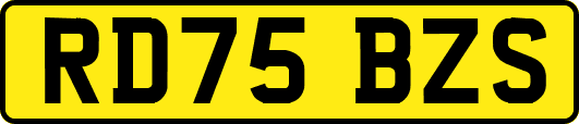 RD75BZS