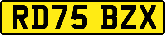 RD75BZX