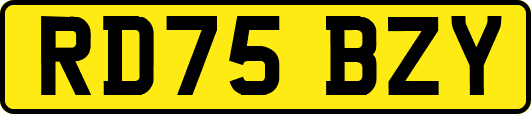 RD75BZY