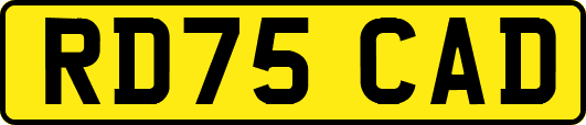 RD75CAD