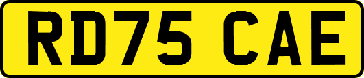RD75CAE
