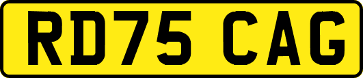 RD75CAG