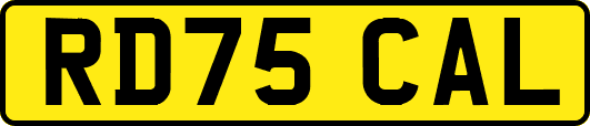 RD75CAL