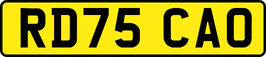 RD75CAO