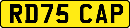 RD75CAP