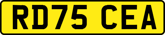 RD75CEA