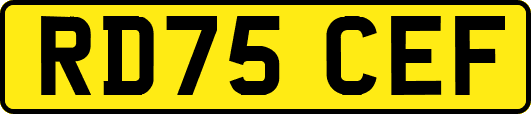 RD75CEF