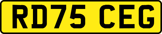 RD75CEG