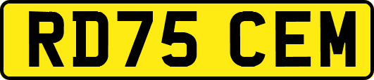 RD75CEM