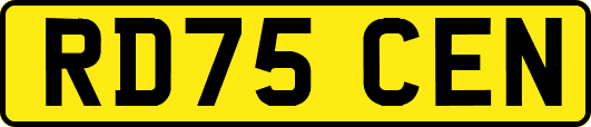 RD75CEN