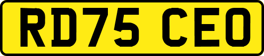 RD75CEO