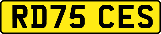 RD75CES
