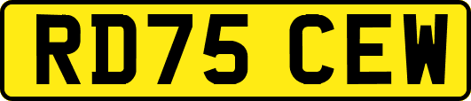 RD75CEW