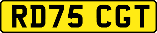 RD75CGT