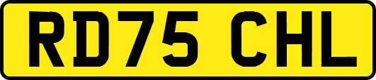 RD75CHL