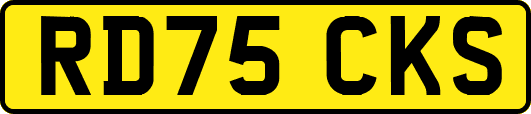 RD75CKS